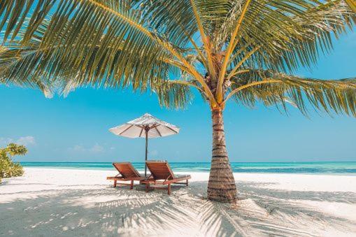 Gorgeous Beachy Chic Condo In Key Biscayne Miami Zewnętrze zdjęcie